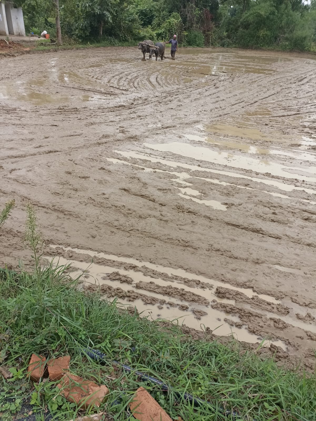 Farming Practical Development